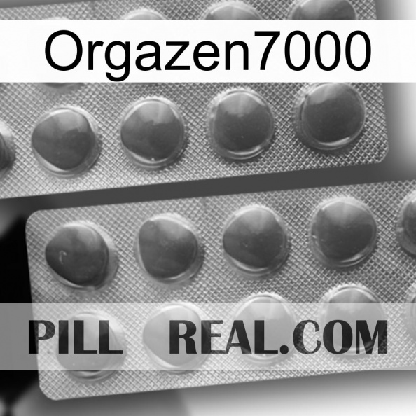 Orgazen7000 31.jpg